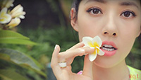 郭碧婷海边花丛中写真(8)