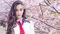 Angelababy唯美樱花写真(10)