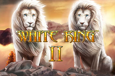 White king 2 游戏封面