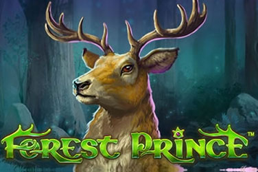 Forest prince 游戏封面