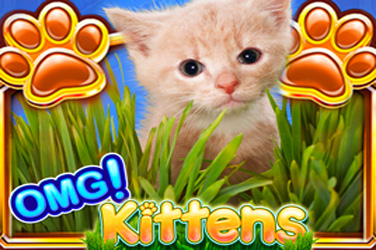 Omg kittens 游戏封面