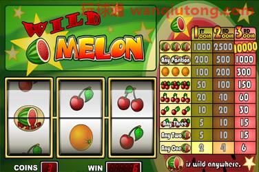 Wild melon 游戏封面