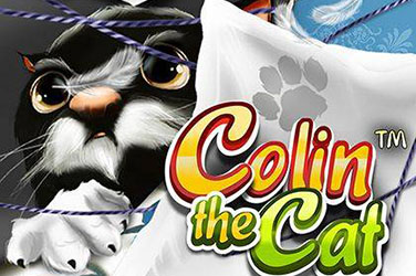Colin the cat 游戏封面
