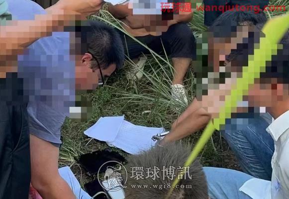 躲在荒山作案，景德镇警方打掉一个电信诈骗团伙！