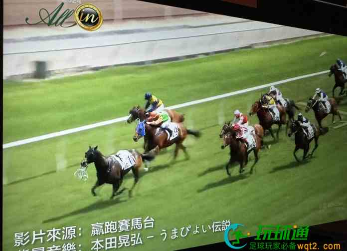 骑师堕马「战斗英雄」拒言弃 无人策骑奋勇追赶率先冲线仍被DQ