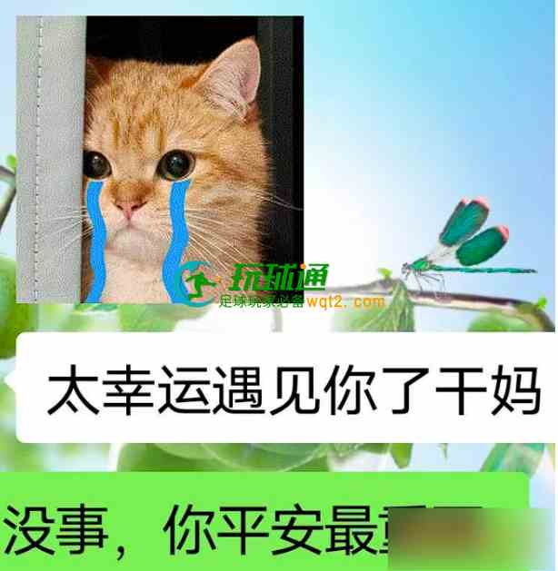 QQ20250929-124317.png