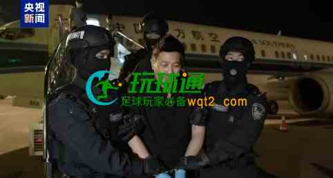 刘忍旧采访对比被押解回国视频片段